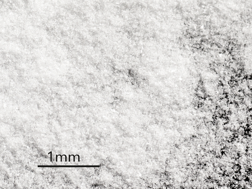 immagine ingrandita a 1 mm in cui è possibile vedere la forma
dei cristalli di glicina piccoli e minimamente invasivi