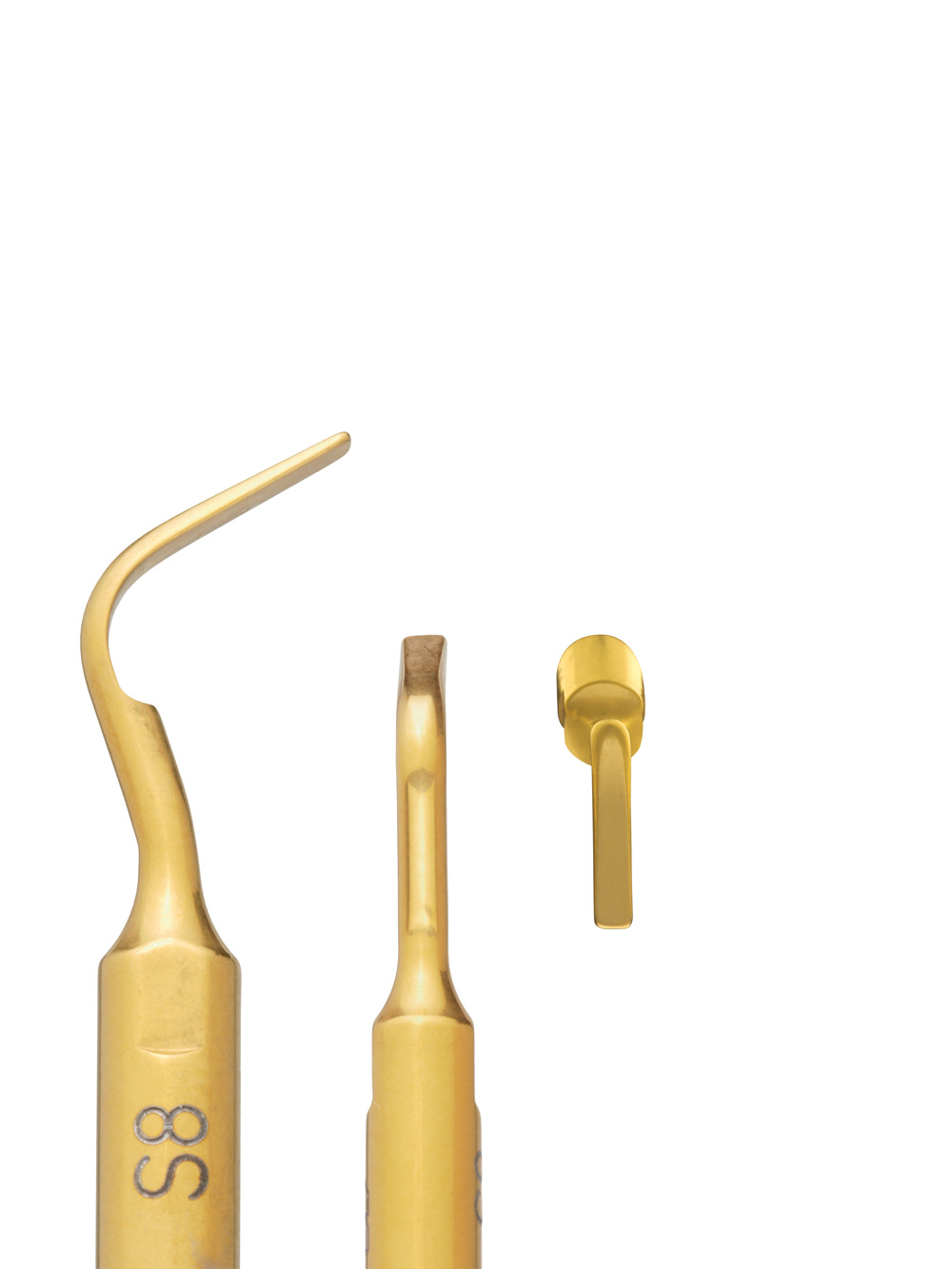 insert S8 lateral view, turned about 90° and frontal view